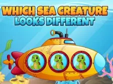 Which Sea Creature Looks Different